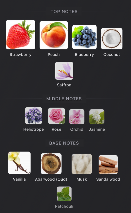 Anniversario Pantheon Roma- Sample