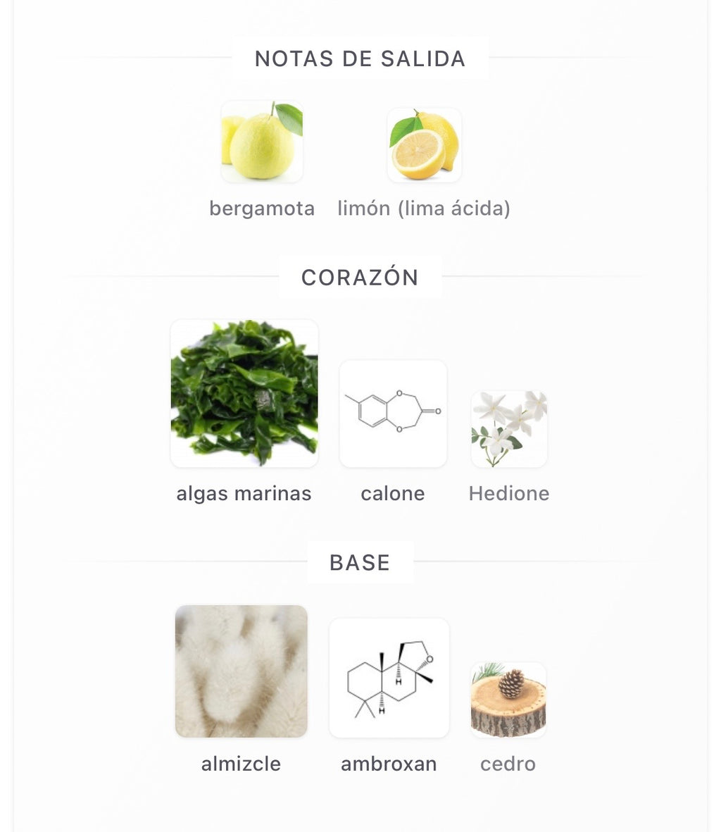 Megamare by Orto Parisi - 2ML Sample