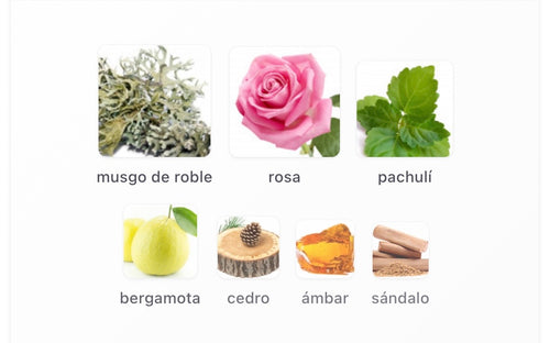 Christian Dior Gris Dior - Sample 2 ML